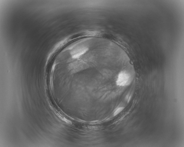 X0000053130149200508081327