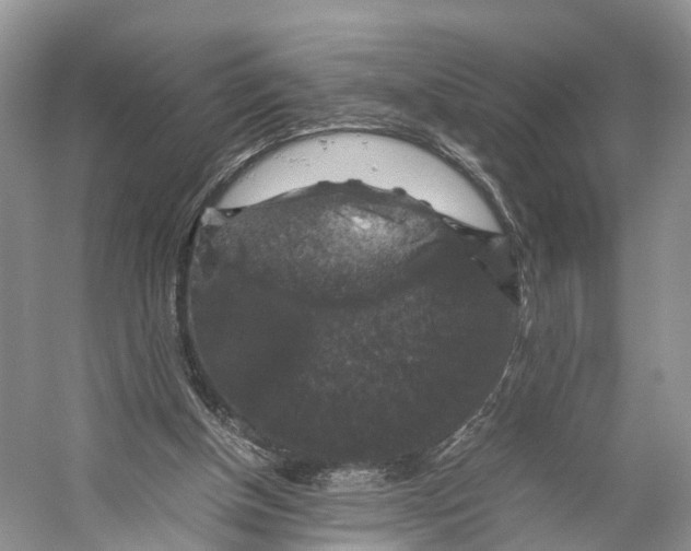 X0000053130154200508081327