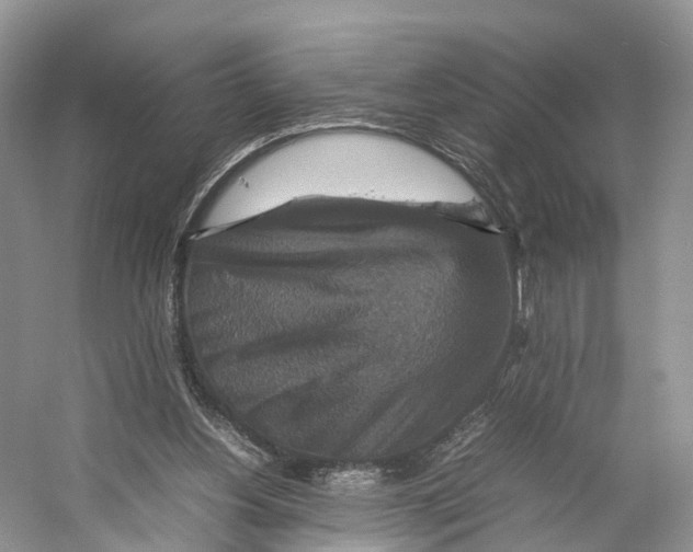 X0000053130156200508081327