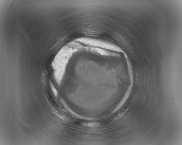 X0000053130165200508081327