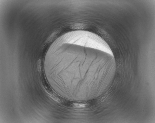 X0000053130167200508081327