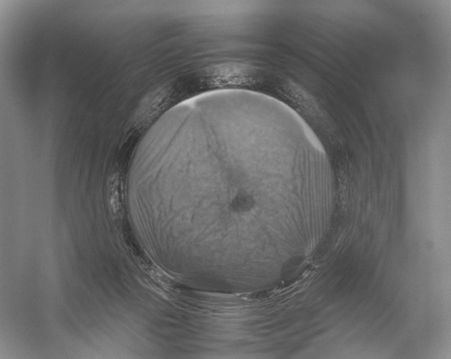 X0000053130169200508081327