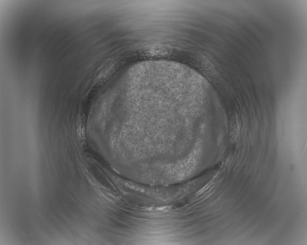 X0000053130176200508081327