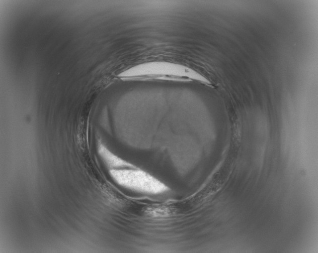 X0000053130181200508081327
