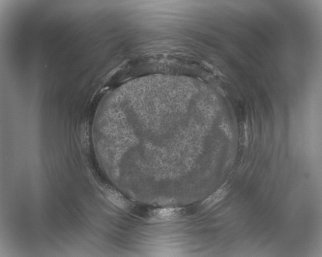 X0000053130184200508081328