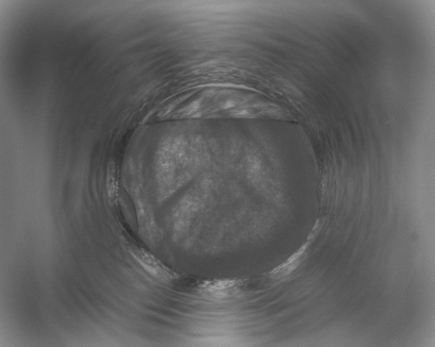 X0000053130186200508081328