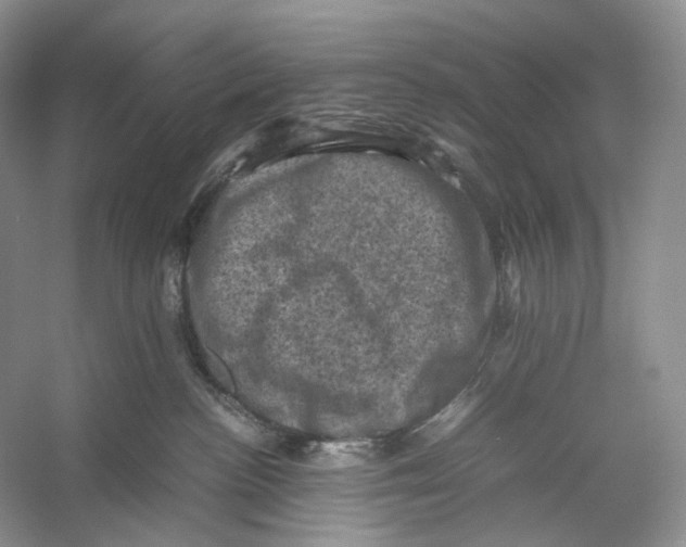 X0000053130188200508081328
