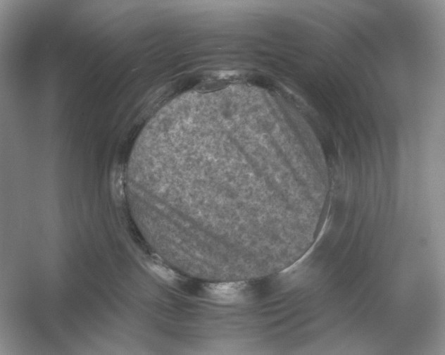 X0000053130191200508081328