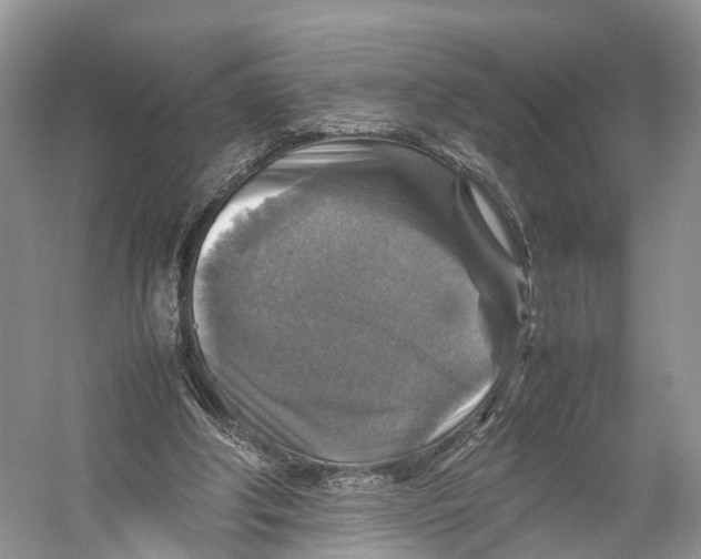 X0000053130202200508081327