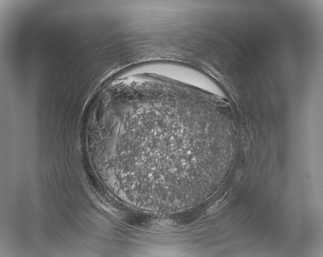 X0000053130203200508081327