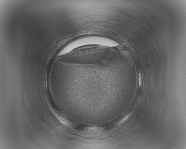 X0000053130205200508081327