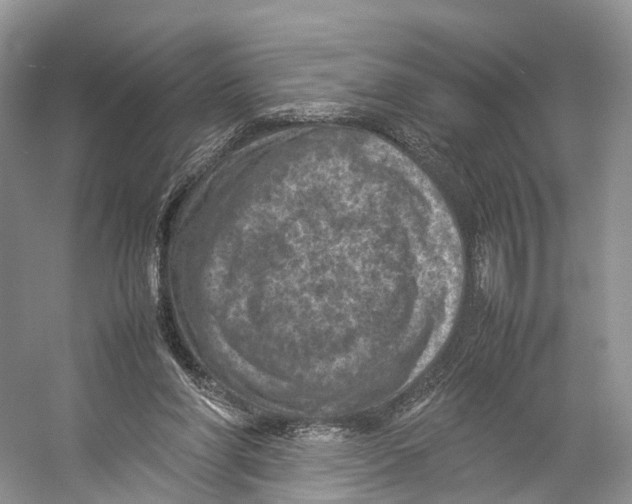 X0000053130206200508081327