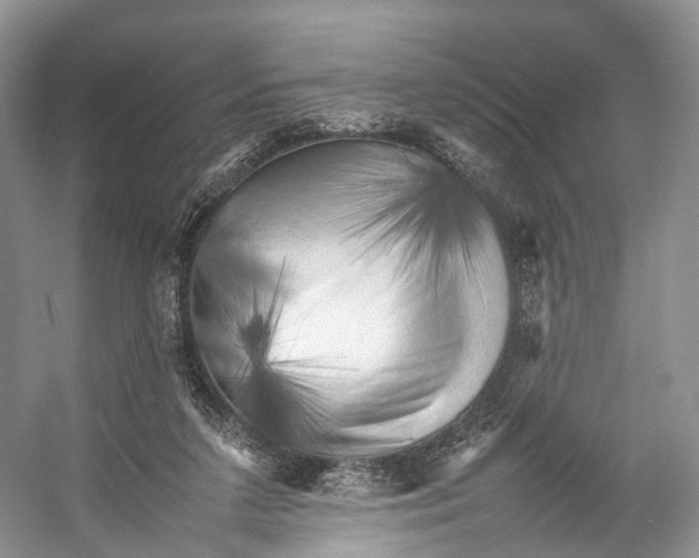 X0000053130211200508081327