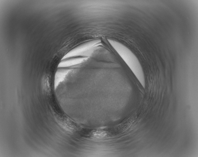 X0000053130214200508081326