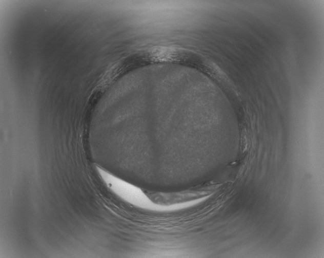 X0000053130217200508081326
