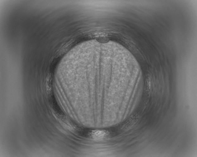 X0000053130218200508081326