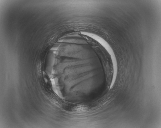 X0000053130219200508081326