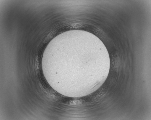 X0000053130220200508081326