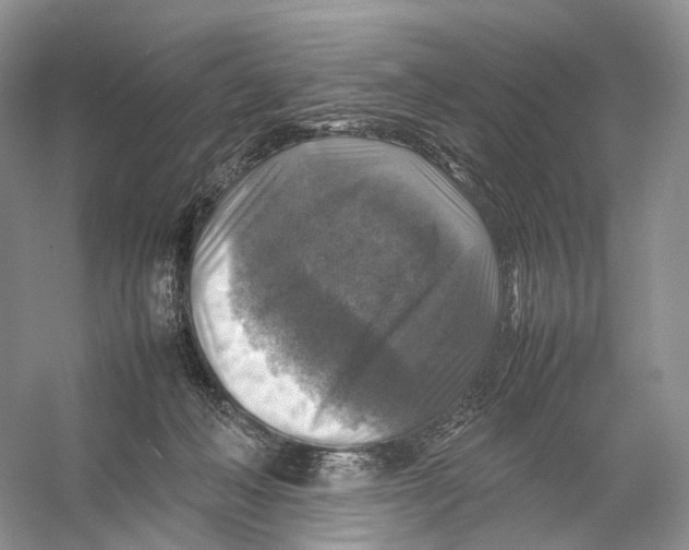 X0000053130222200508081326