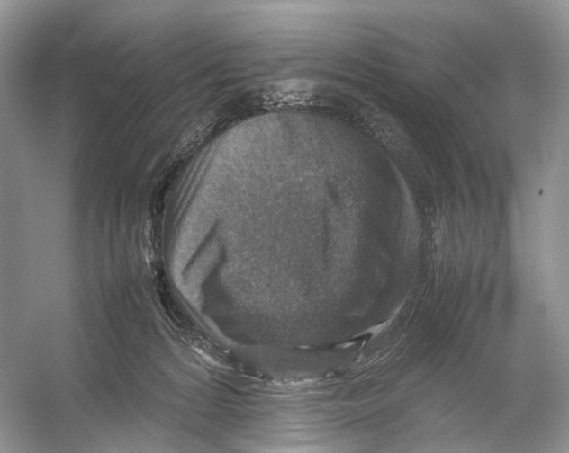 X0000053130224200508081326
