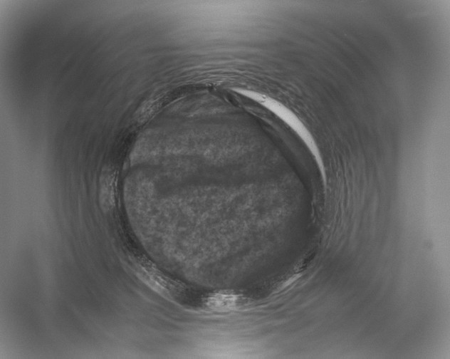 X0000053130227200508081326