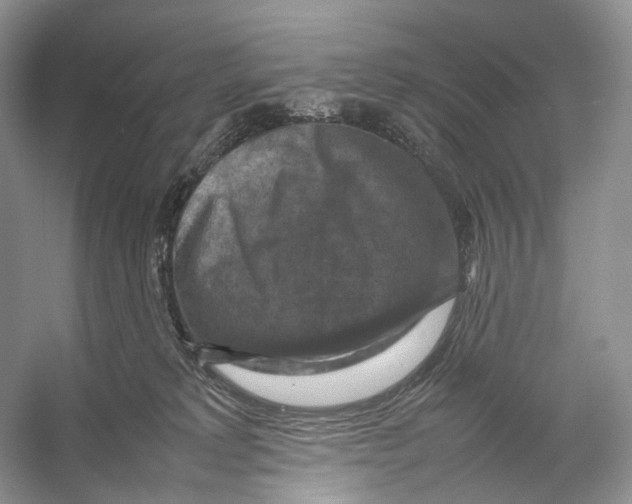 X0000053130229200508081326