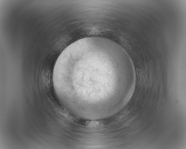 X0000053130230200508081326