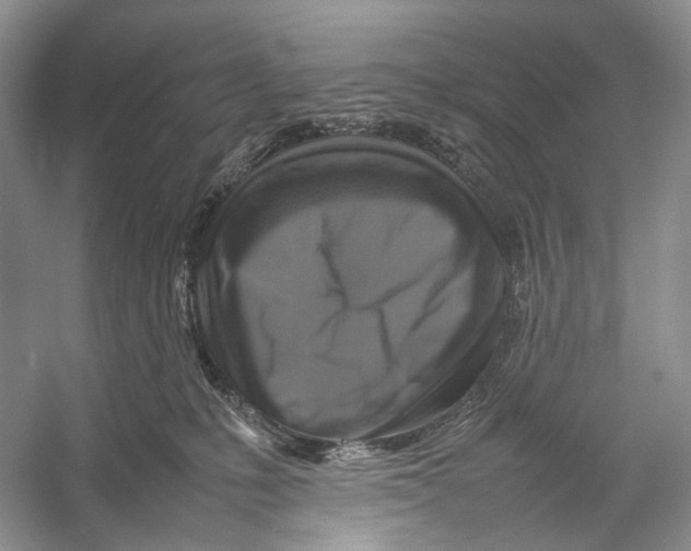 X0000053130231200508081326
