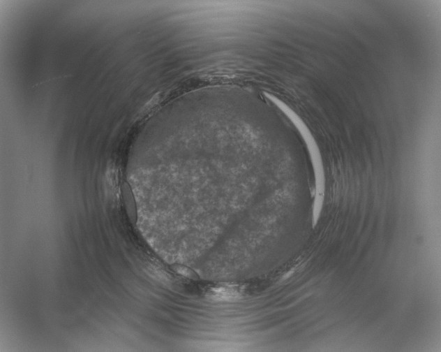 X0000053130232200508081326