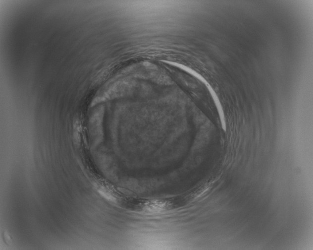 X0000053130235200508081326