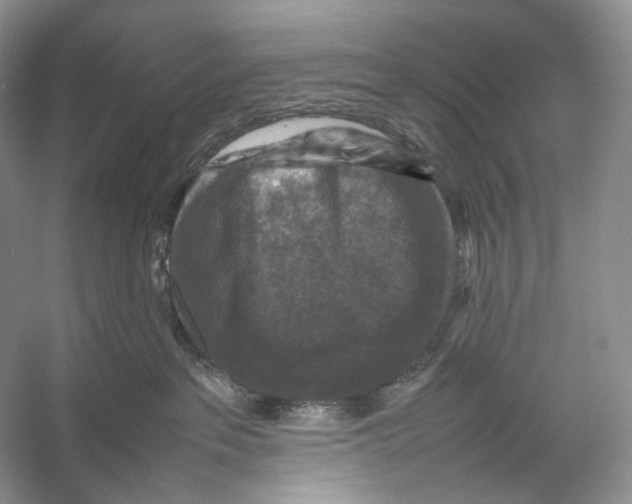 X0000053130237200508081326