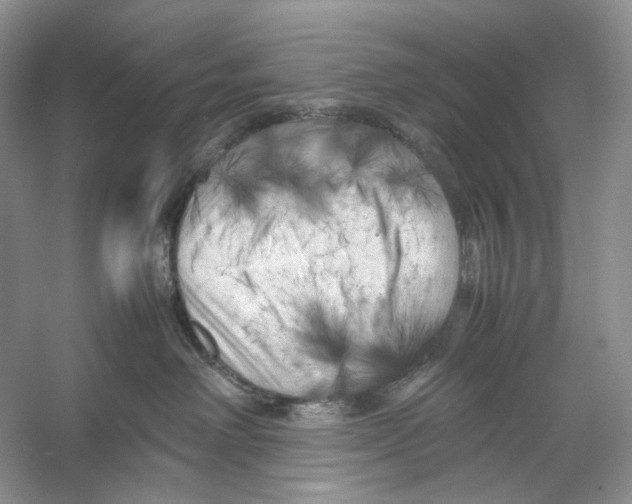 X0000053130238200508081326