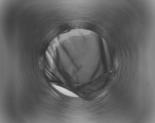 X0000053130239200508081326