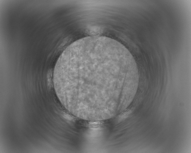 X0000053130240200508081326