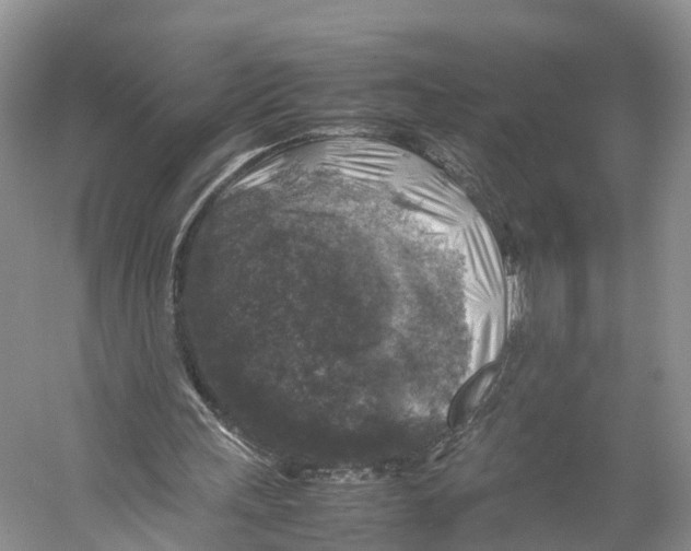 X0000053130243200508081325
