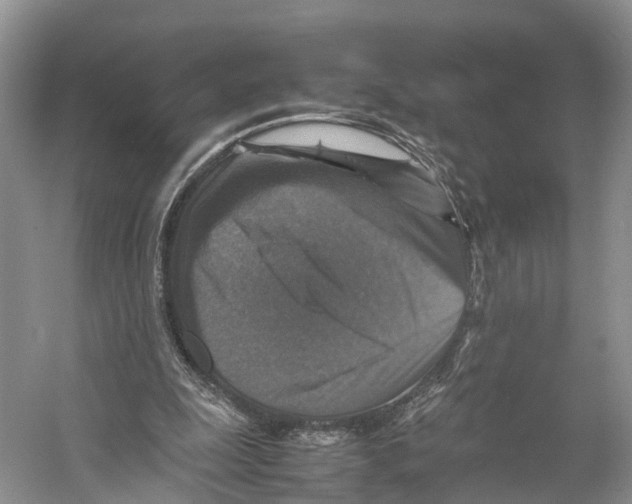 X0000053130247200508081325