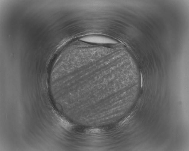 X0000053130253200508081325