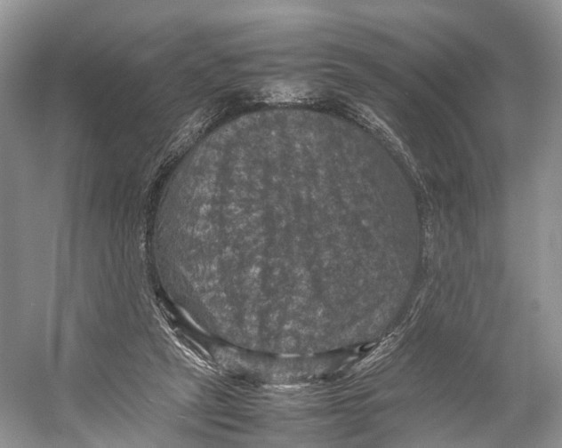 X0000053130257200508081325
