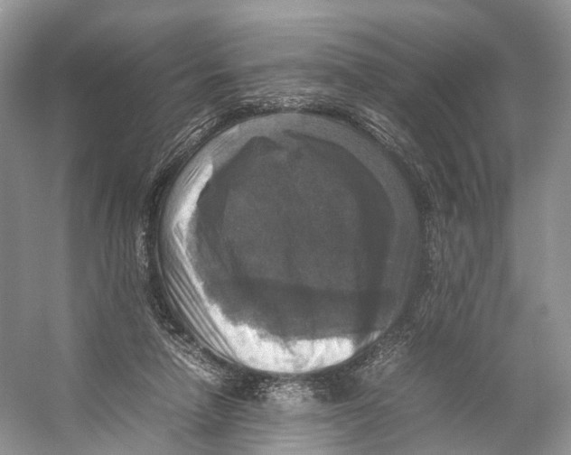 X0000053130258200508081326