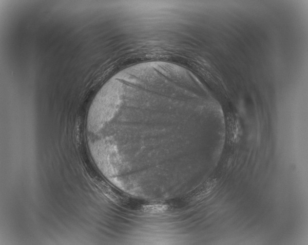 X0000053130266200508081326