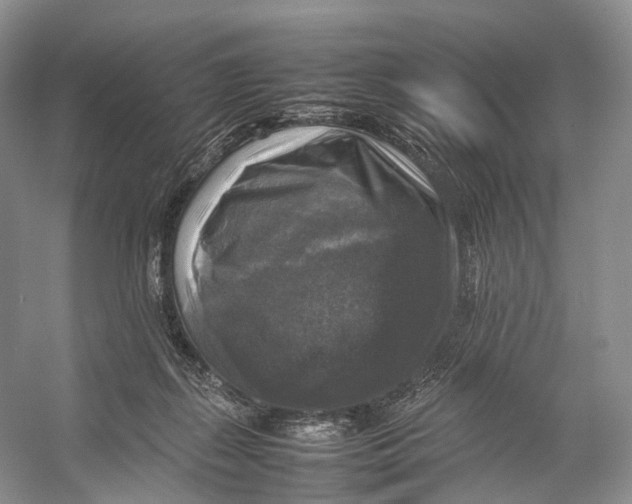 X0000053130267200508081326