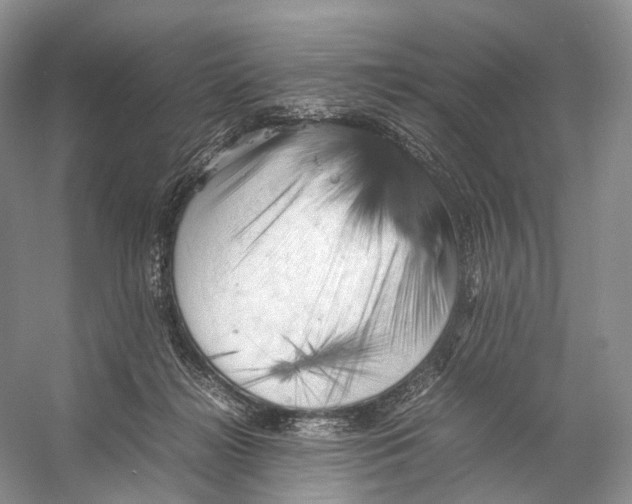 X0000053130268200508081326