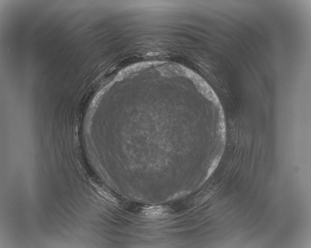 X0000053130269200508081326