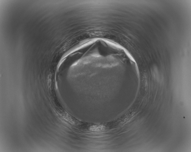 X0000053130271200508081326