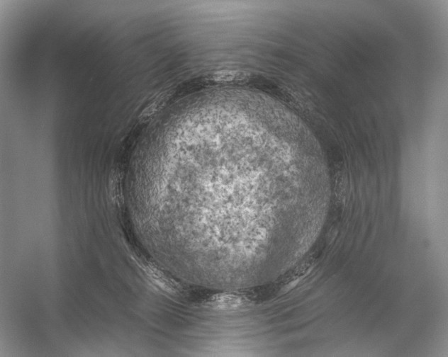 X0000053130272200508081326