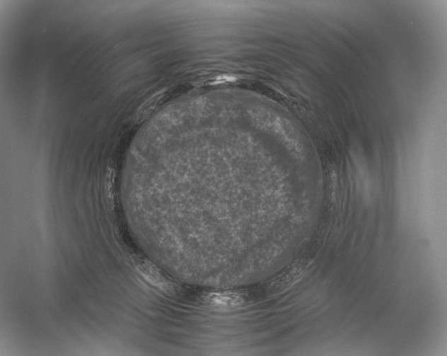X0000053130275200508081326