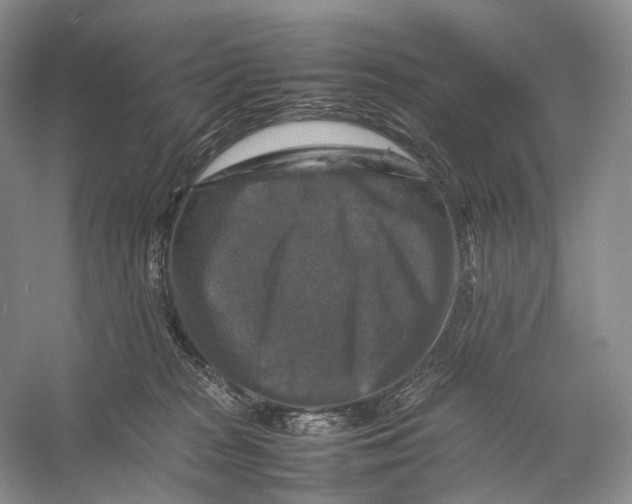 X0000053130277200508081326