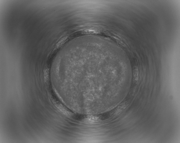 X0000053130278200508081326