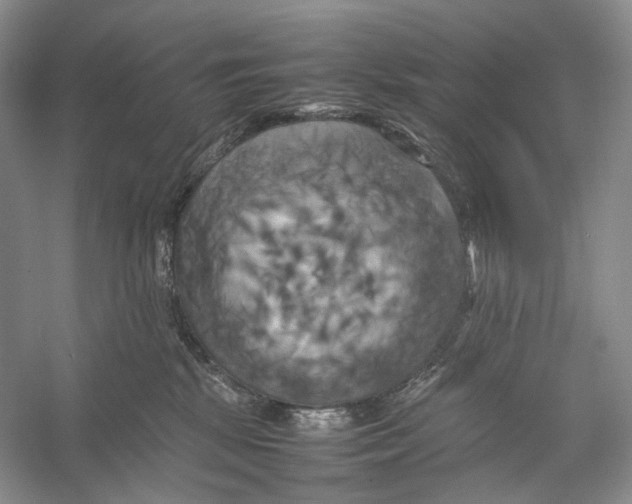 X0000053130281200508081326