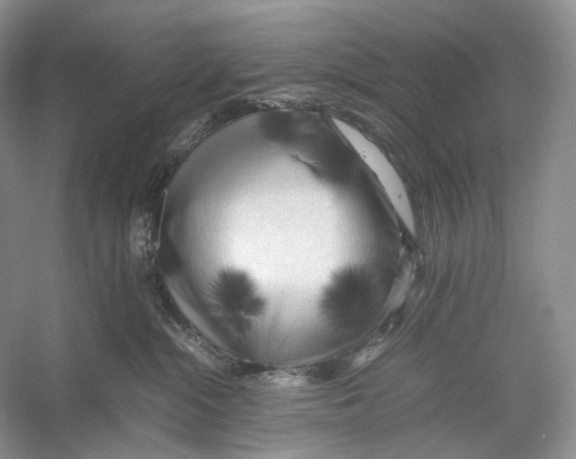 X0000053130284200508081326